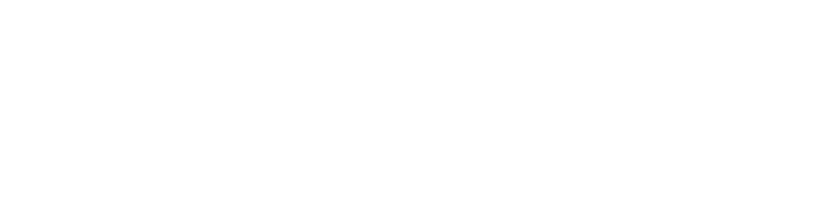 BLACK-KNIGHT-RIDER.DE | K.I.T.T. Replika
